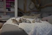 Vorschaubild 5