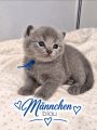 Vorschaubild 6