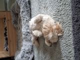 Vorschaubild 6