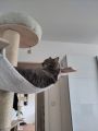 Vorschaubild 9