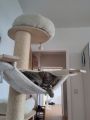 Vorschaubild 5