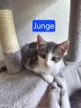 Vorschaubild 4