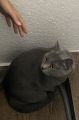 Vorschaubild 5
