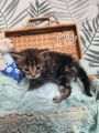 Vorschaubild 5