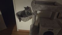 Vorschaubild 5
