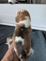 Vorschaubild 2