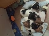 Vorschaubild 6