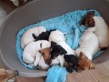 Vorschaubild 7