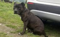 Vorschaubild 4