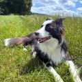Vorschaubild 2