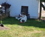 Vorschaubild 7