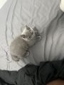 Vorschaubild 5