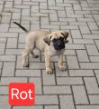 Vorschaubild 9