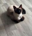 Vorschaubild 5