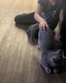 Vorschaubild 2