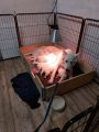 Vorschaubild 6