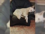 Vorschaubild 7