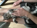 Vorschaubild 5