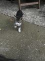 Vorschaubild 6