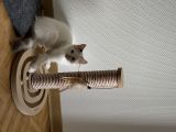 Vorschaubild 4