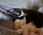 Vorschaubild 1