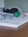 Vorschaubild 3