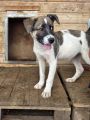 Vorschaubild 2