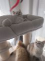 Vorschaubild 9