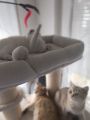 Vorschaubild 5