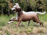 Vorschaubild 6