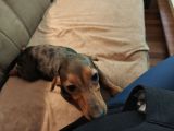 Vorschaubild 8