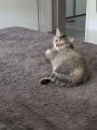 Vorschaubild 3