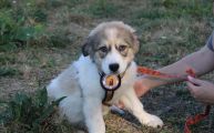 Vorschaubild 2