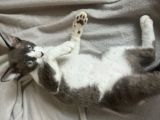 Vorschaubild 3
