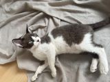 Vorschaubild 1