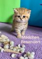 Vorschaubild 7