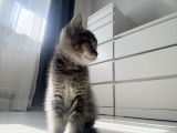 Vorschaubild 7
