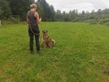 Vorschaubild 5