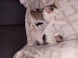 Vorschaubild 2