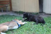 Vorschaubild 5