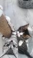 Vorschaubild 7