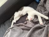 Vorschaubild 2