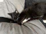 Vorschaubild 1