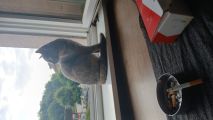 Vorschaubild 7