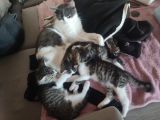 Vorschaubild 1
