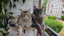 Vorschaubild 9