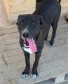 Vorschaubild 5