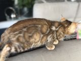 Vorschaubild 5