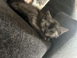 Vorschaubild 2
