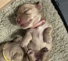 Vorschaubild 3